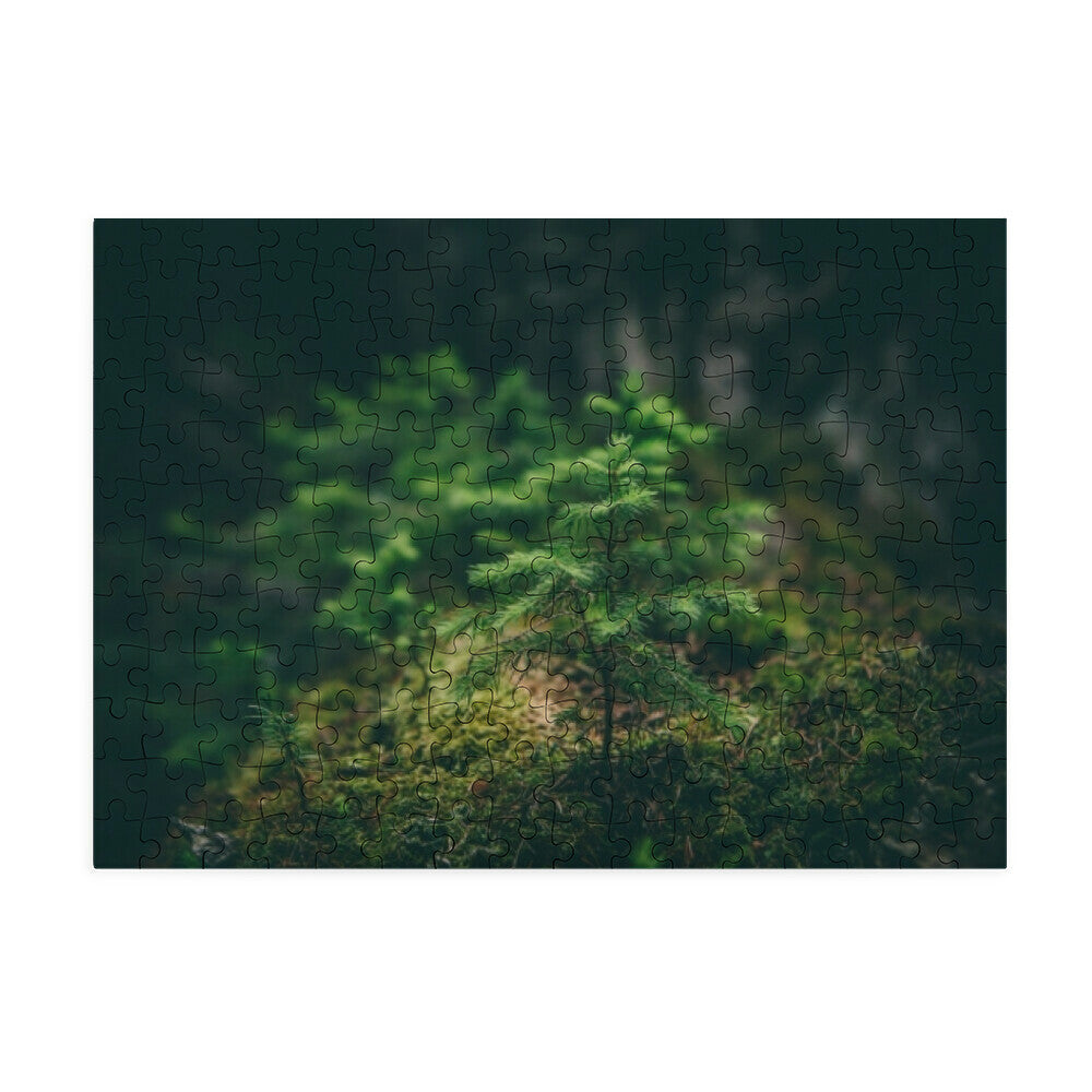 d28b583e-b877-4972-8546-b0b62b3b154b