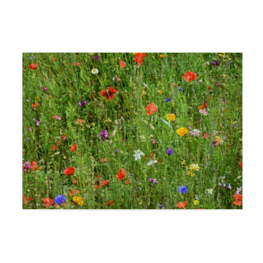 c14b0d7b-26d7-4570-9d98-e21754470053