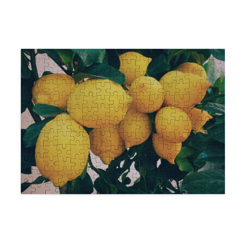 b51d8464-230c-4564-883c-8e10327cc38e