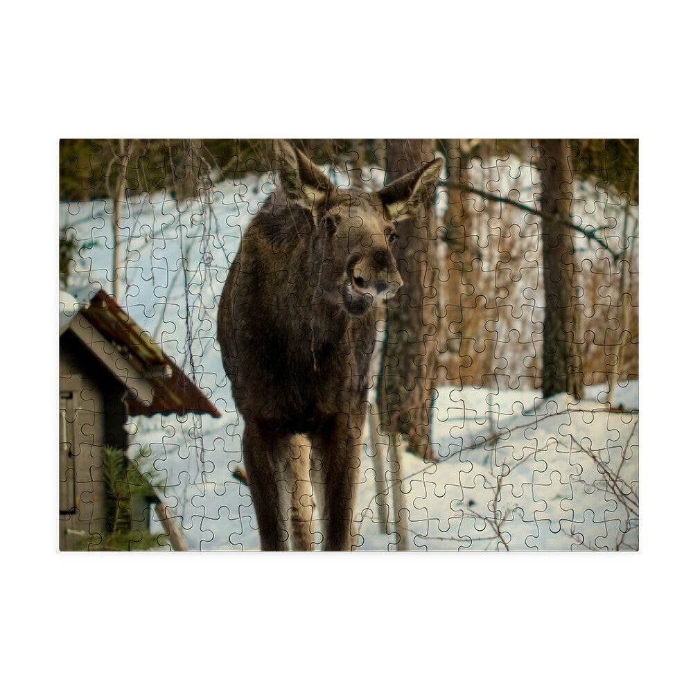 e94c110a-1b87-4d16-8e81-bda44abb3ed0