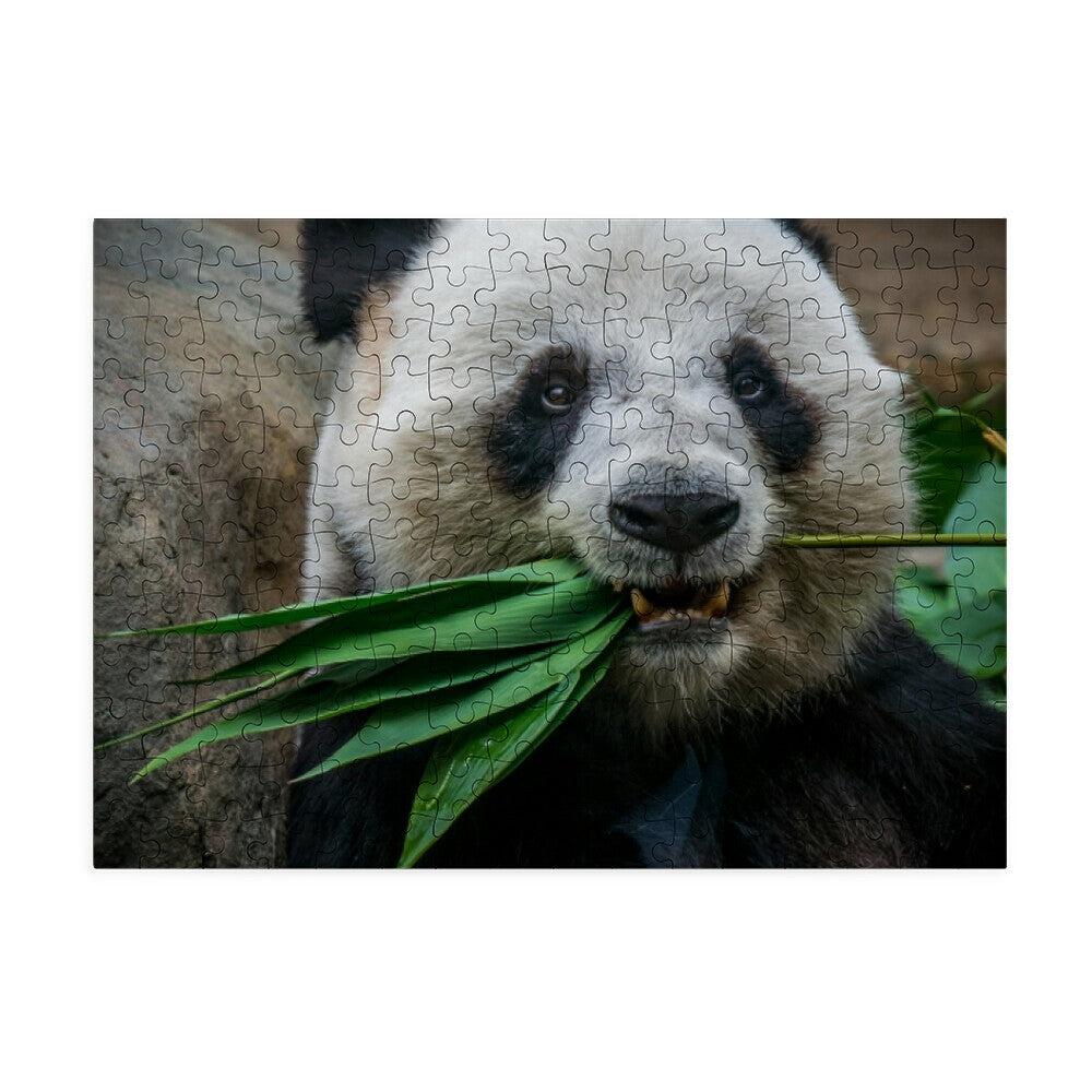 9e09e136-d759-48a3-ba54-1c97b81dd4e0