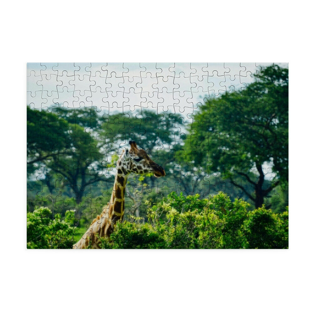 5d2c447a-81d5-40cf-881b-93f33f21b8dd